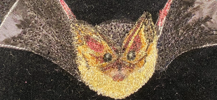 Bat